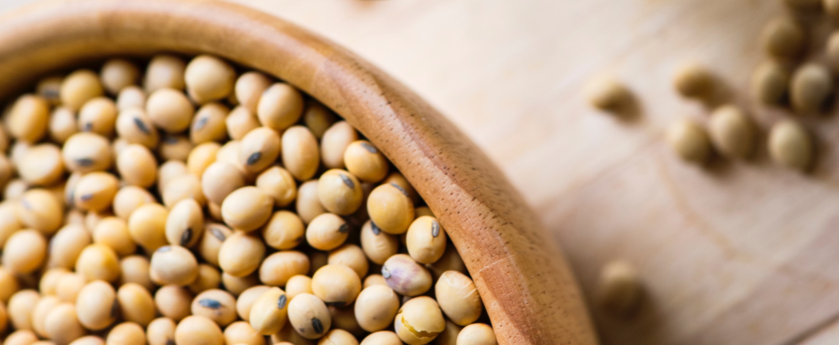 Roasted Soy Nuts